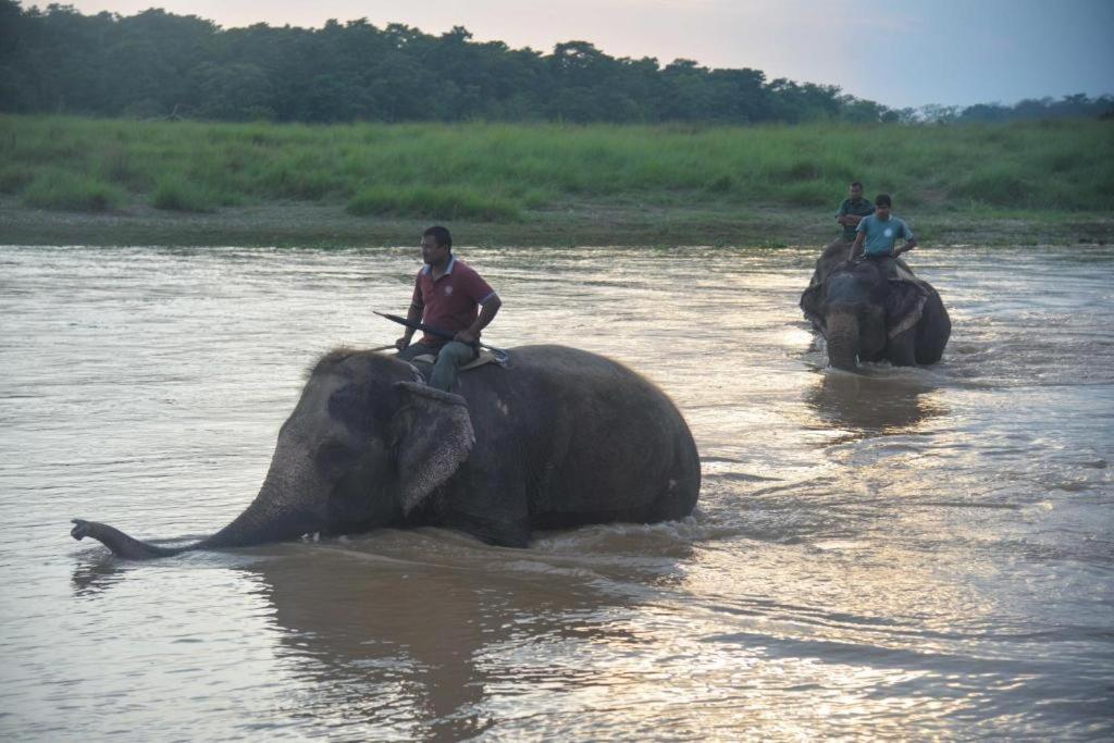 Hotel Greenland Safari Sauraha Exterior foto