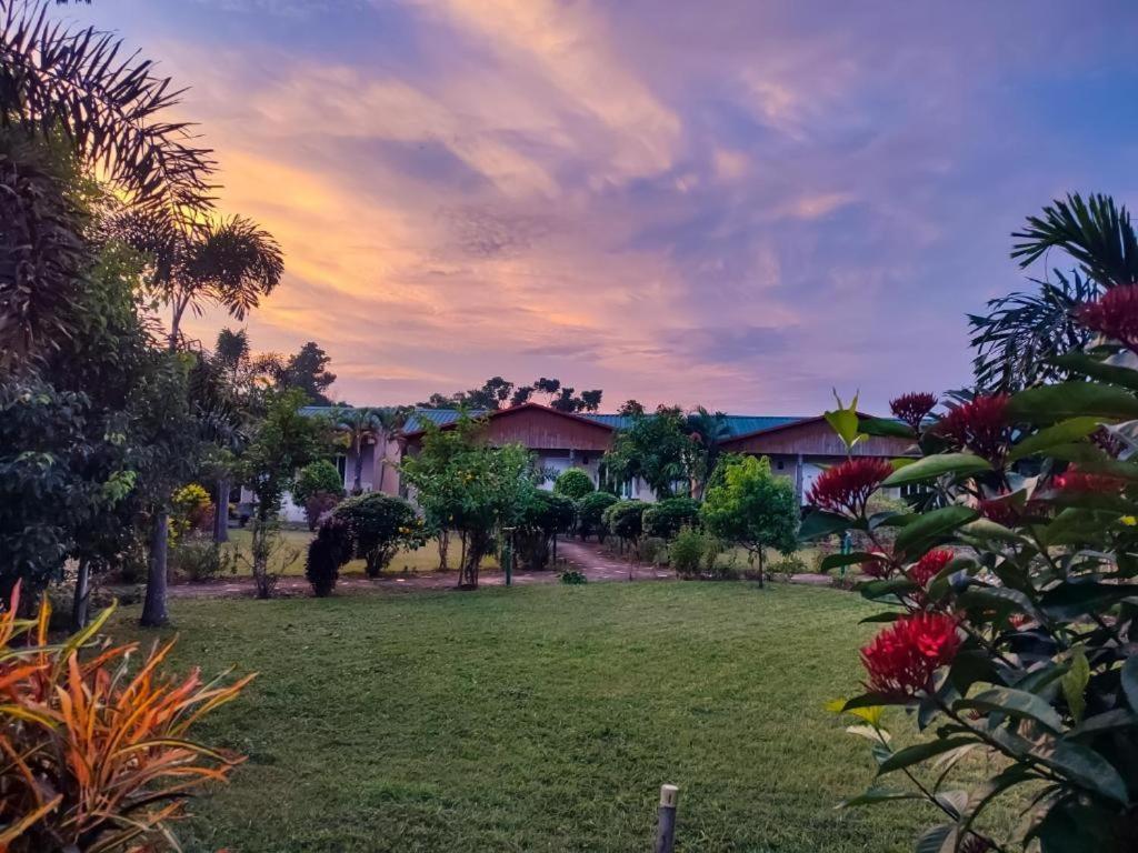 Hotel Greenland Safari Sauraha Exterior foto